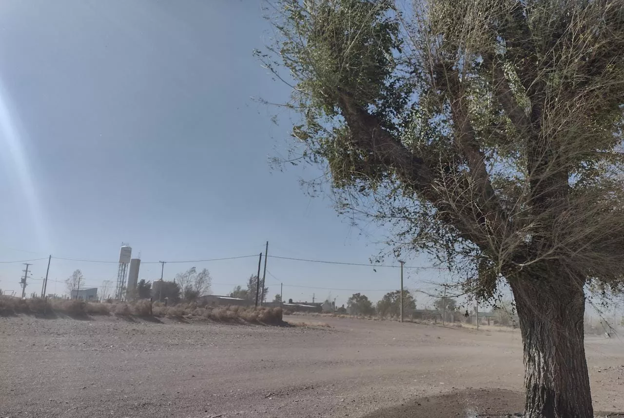 WhatsApp Image 2022-04-26 at 1.34.02 PM