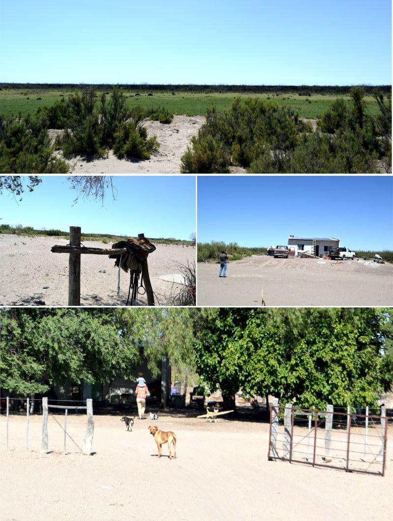 algarrobopuestos0016f