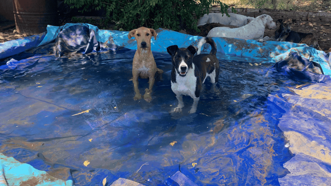 Copia de Sin título (13)