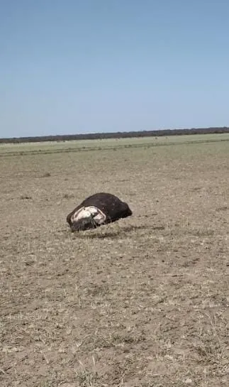 WhatsApp Image 2023-10-18 at 8.01.48 PM