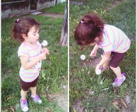 WhatsApp Image 2018-11-26 at 22.25.19