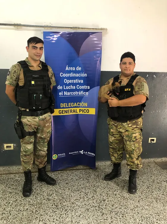 WhatsApp Image 2025-02-22 at 12.53.41 PM