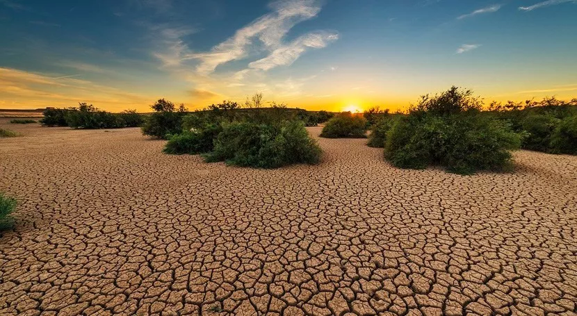 seqcambioclimat