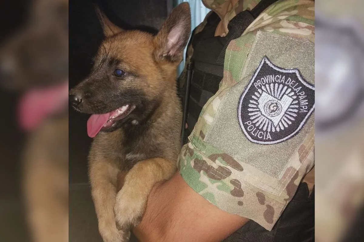 Sin título (Portada de Facebook)