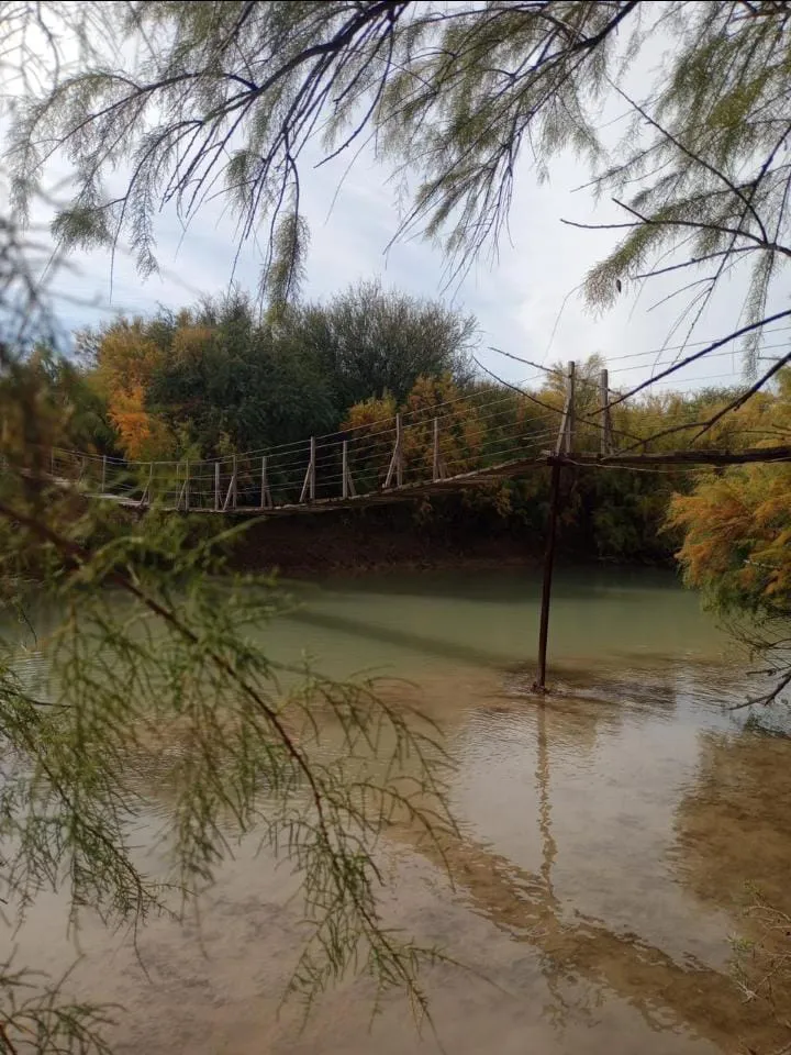 WhatsApp Image 2024-05-13 at 5.41.25 PM