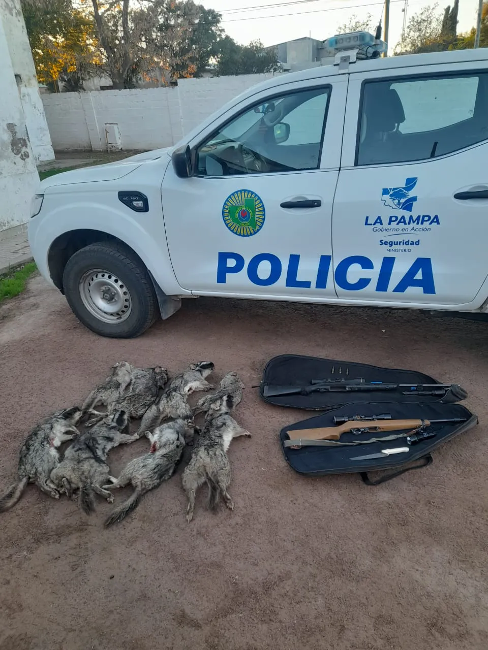 WhatsApp Image 2024-05-11 at 5.09.22 PM