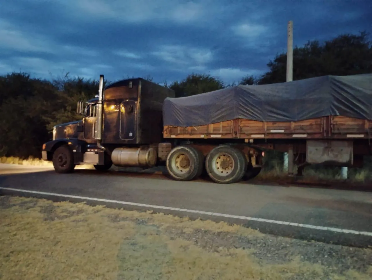 WhatsApp Image 2024-01-27 at 9.19.17 PM