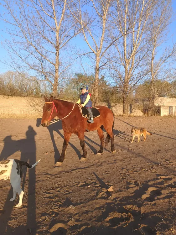 WhatsApp Image 2025-09-30 at 9.55.24 PM