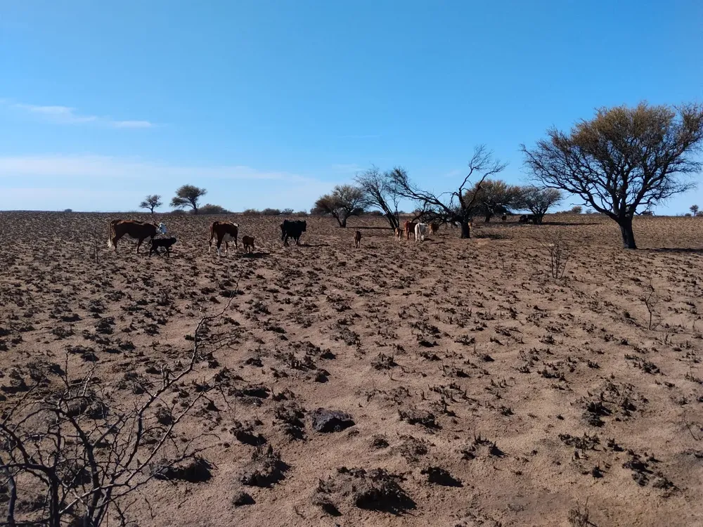 WhatsApp Image 2026-01-25 at 8.36.11 PM