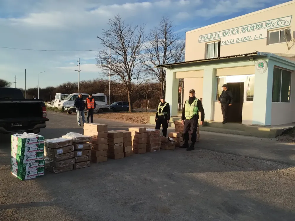 WhatsApp Image 2023-08-16 at 10.49.20