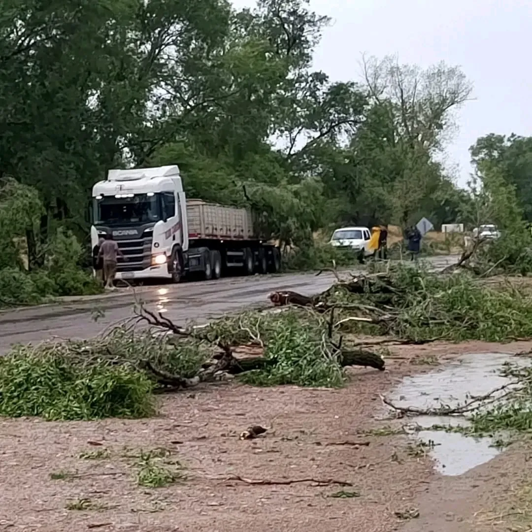 WhatsApp Image 2026-01-21 at 8.09.15 PM