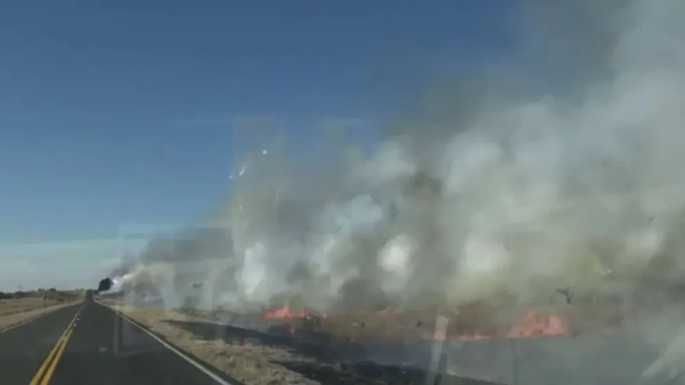 Copia de MPF Victorica (37)