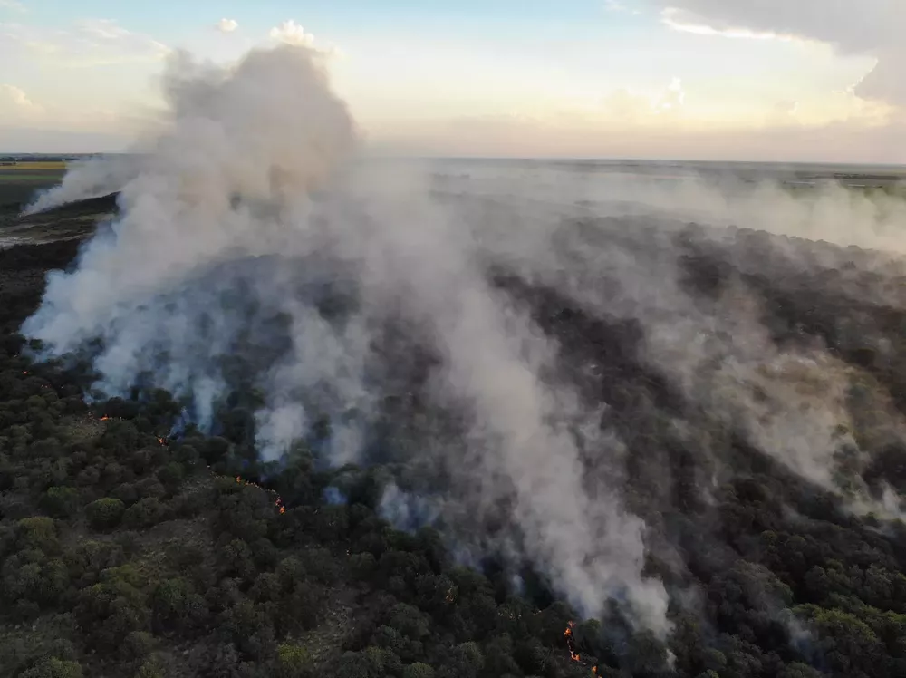 WhatsApp Image 2022-01-15 at 6.43.32 PM