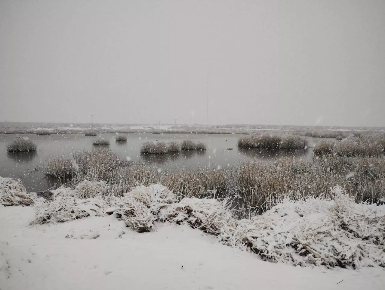 WhatsApp Image 2022-08-07 at 9.05.25 AM