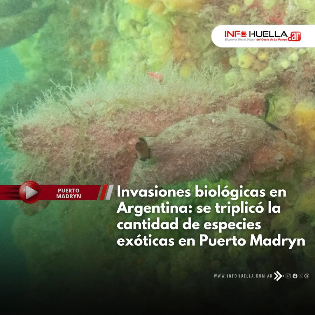 infohuella pro 20227 bombero-1-Miniatura