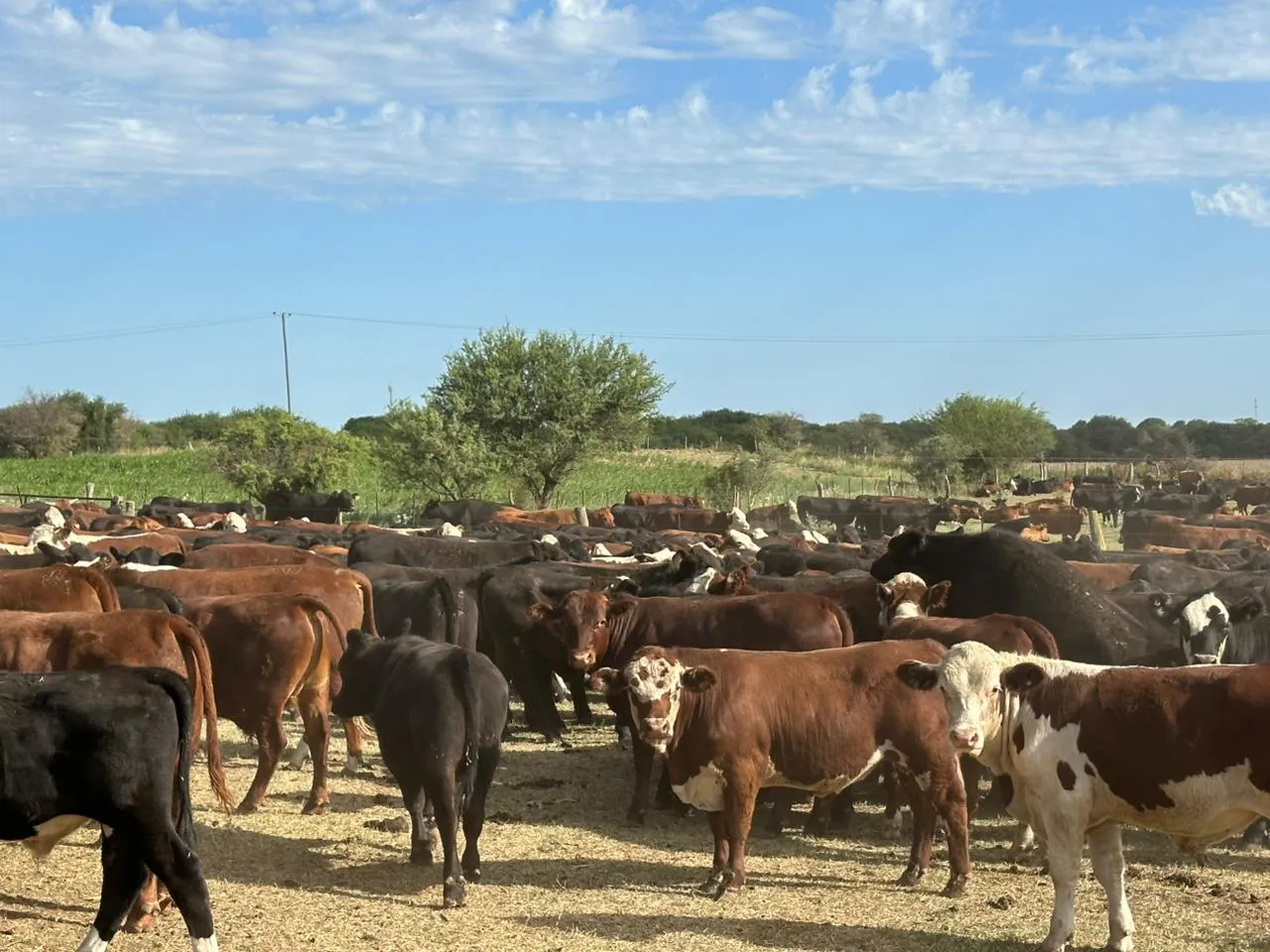 WhatsApp Image 2026-01-19 at 12.56.40 PM