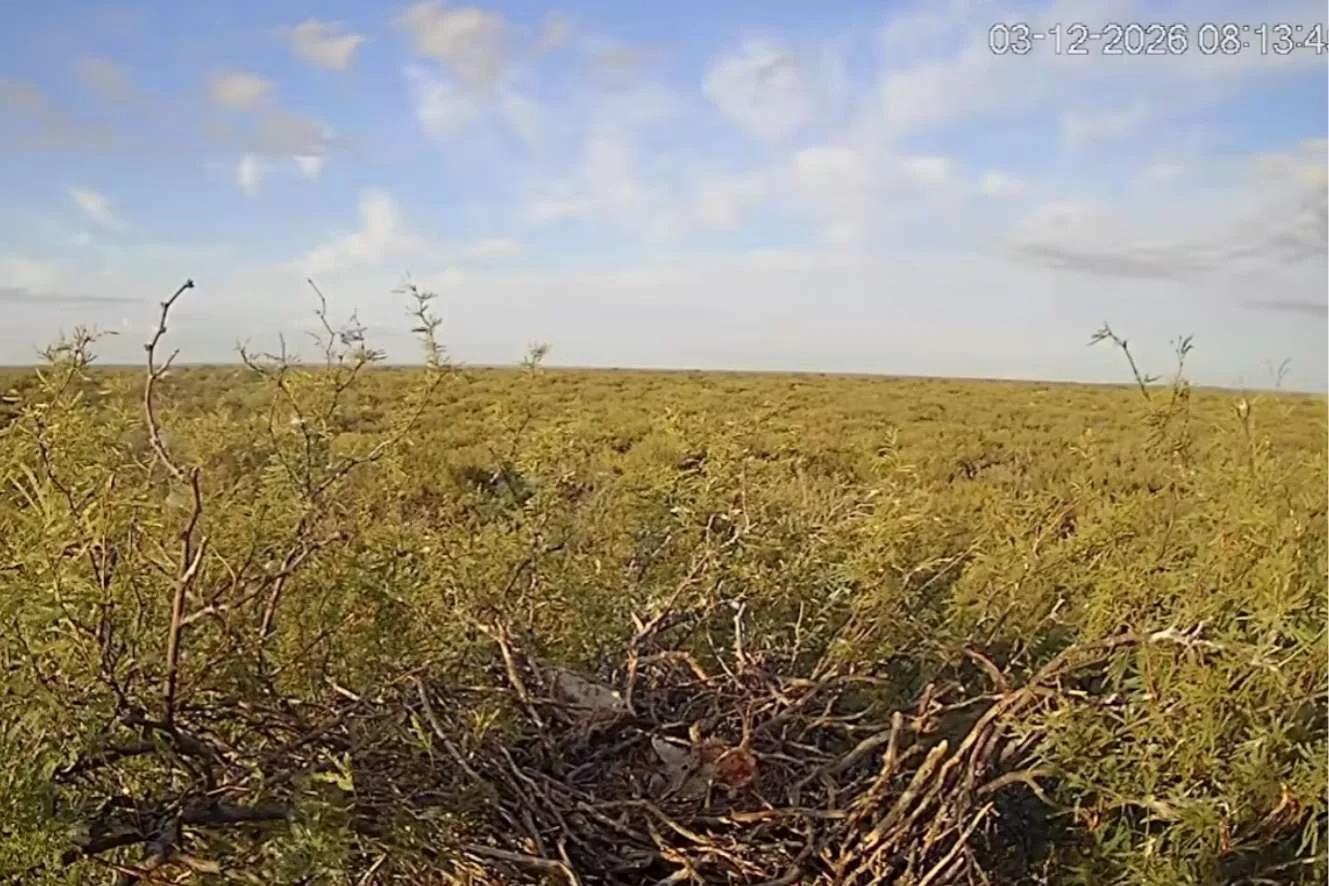 Diseño sin título (6)