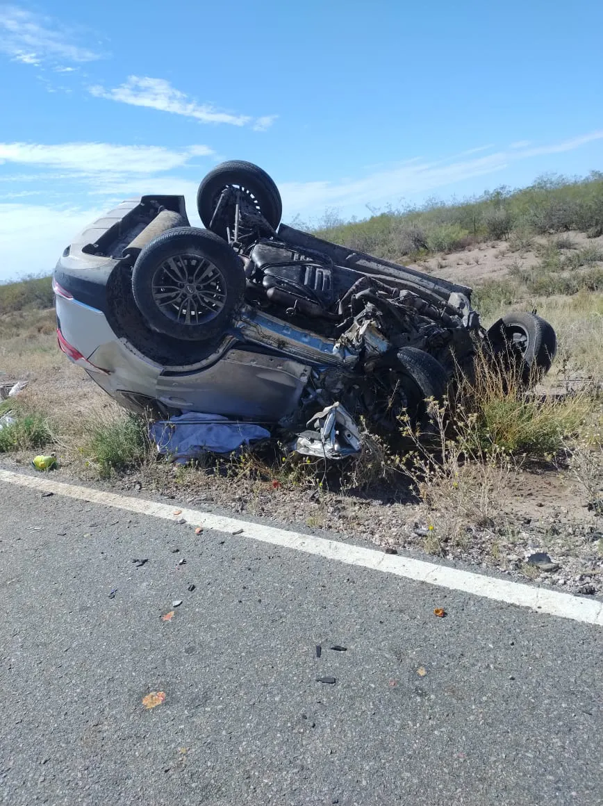 WhatsApp Image 2025-01-18 at 11.00.01 AM