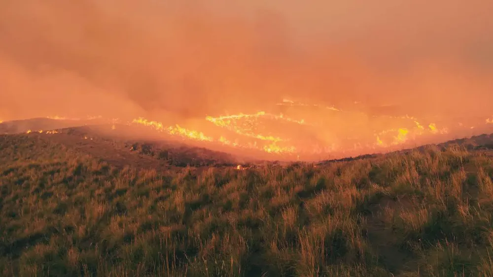 Copia de Sin título (1)
