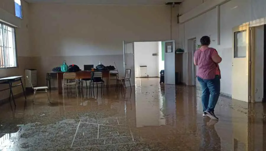 Copia de Copia de Copia de Copia de Copia de video audio algarrobo (6)