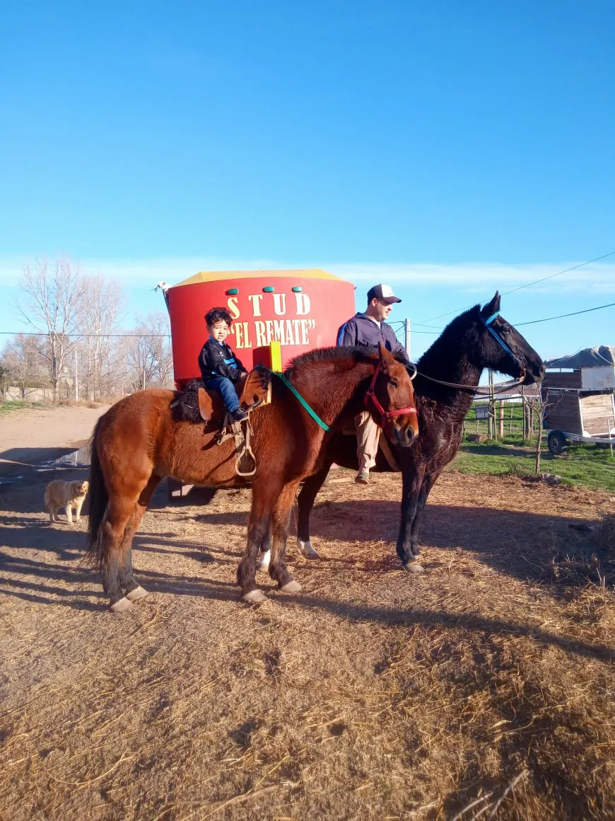 WhatsApp Image 2025-09-30 at 9.55.25 PM