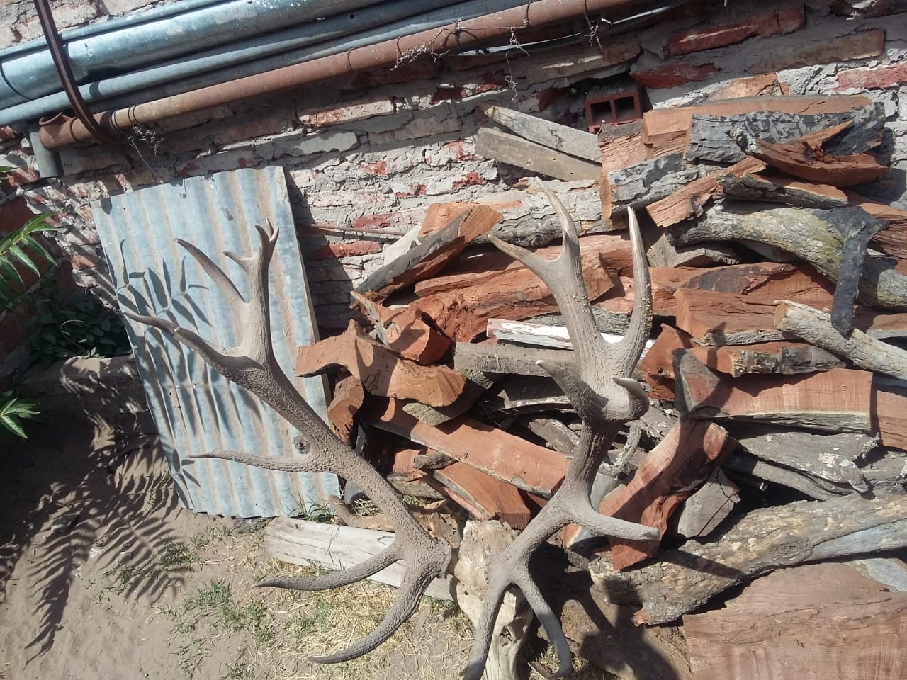 PHOTO-2019-03-06-12-13-26