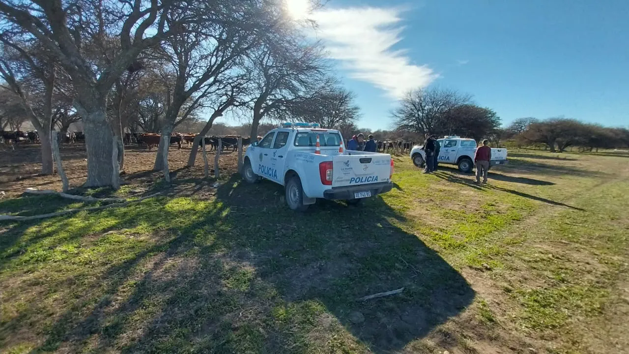 WhatsApp Image 2024-06-01 at 6.09.18 PM