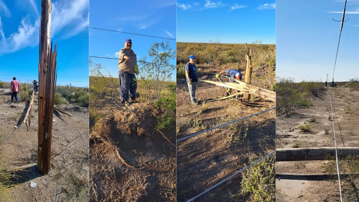 Copia de Copia de MPF Victorica (10)