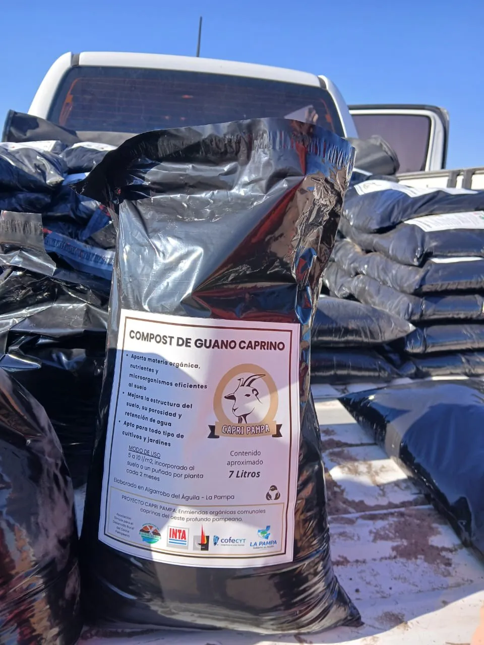 Galería APN - 2025-01-23T170642.691