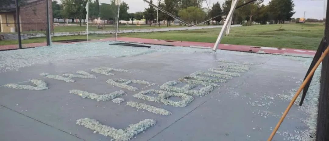 WhatsApp Image 2023-12-28 at 10.26.42 AM