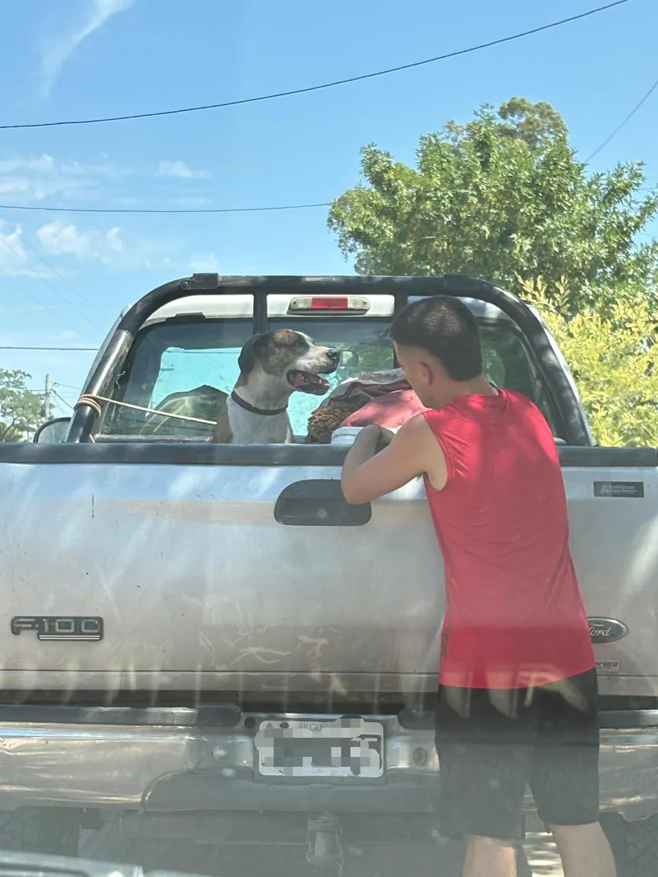 WhatsApp Image 2026-01-12 at 1.15.26 PM