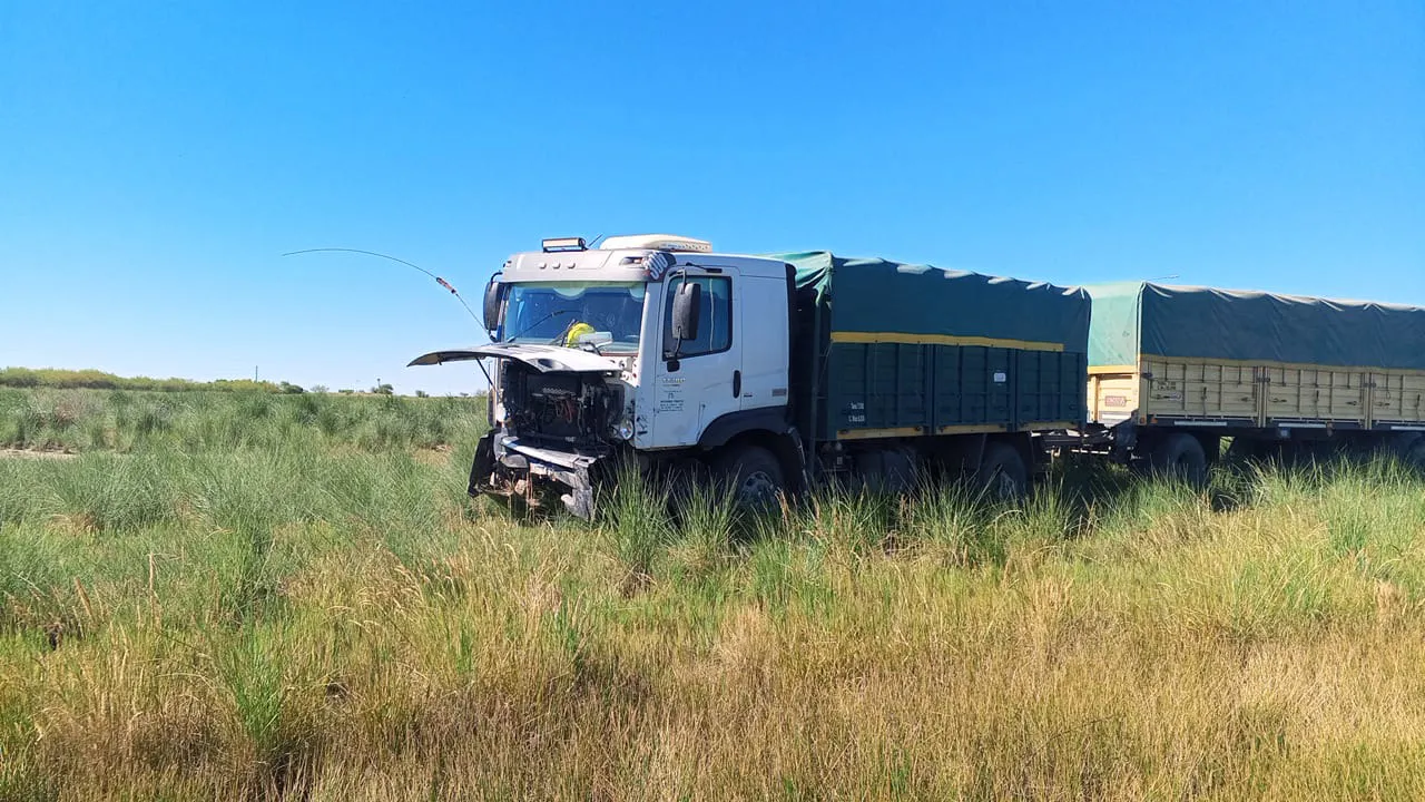 WhatsApp Image 2025-11-13 at 5.33.27 PM (1)