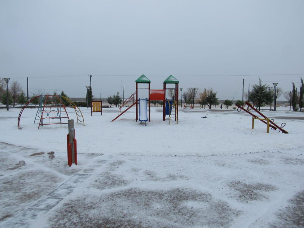 WhatsApp Image 2020-07-23 at 10.18.32