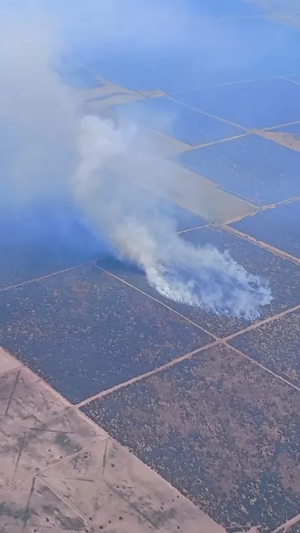 WhatsApp Image 2025-01-13 at 3.12.35 PM