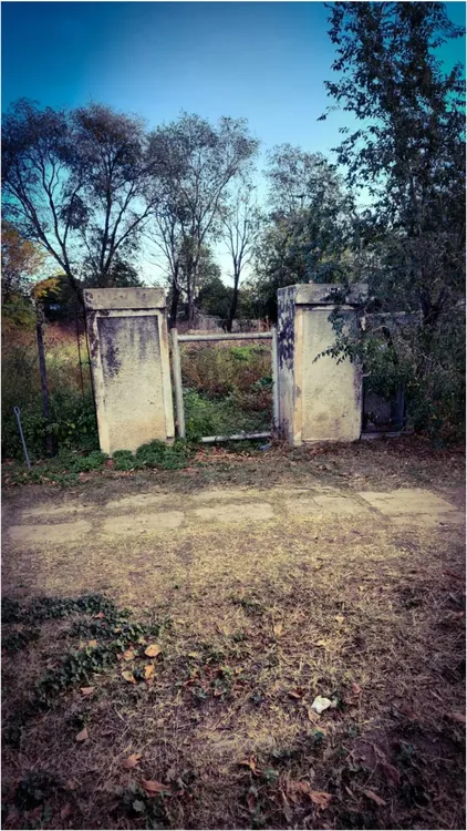 WhatsApp Image 2025-11-13 at 8.31.43 AM