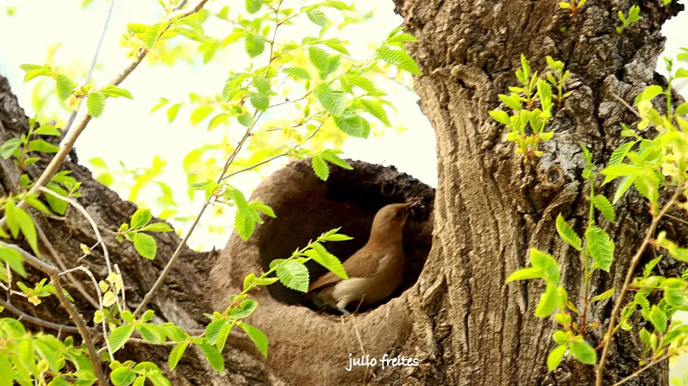 WhatsApp Image 2024-09-19 at 10.53.15 PM