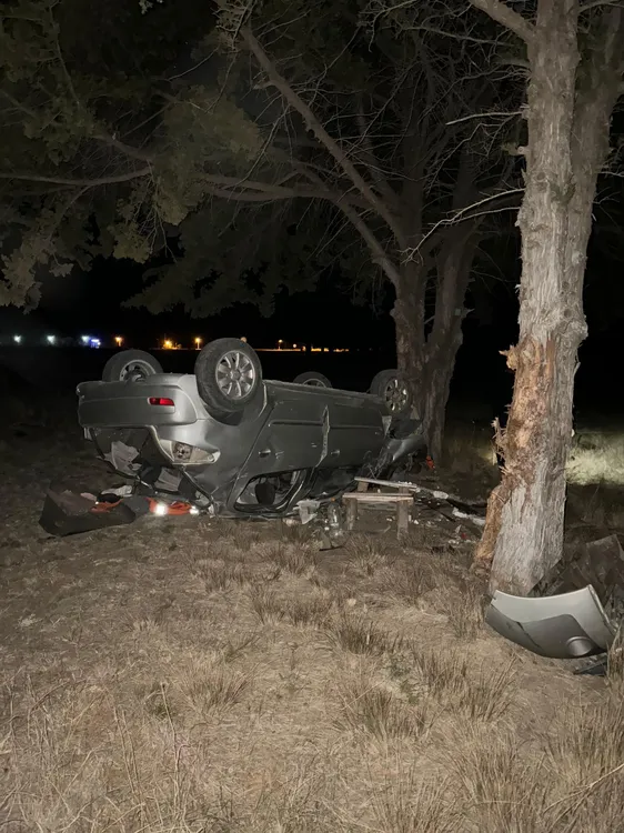 WhatsApp Image 2024-08-04 at 10.16.59 AM