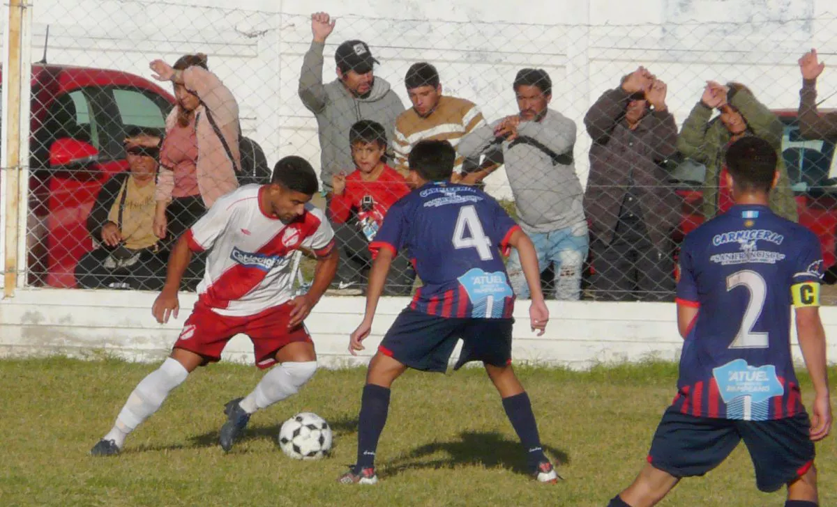 cochstaunida