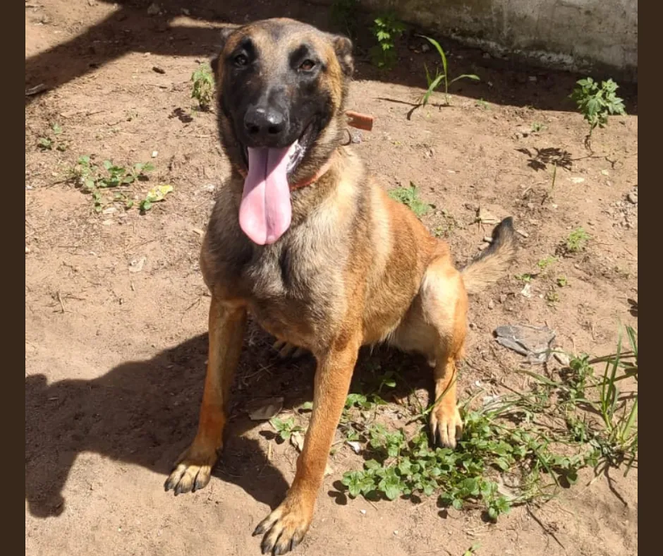 Diseño sin título (12)