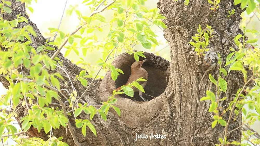 WhatsApp Image 2024-09-19 at 10.51.37 PM