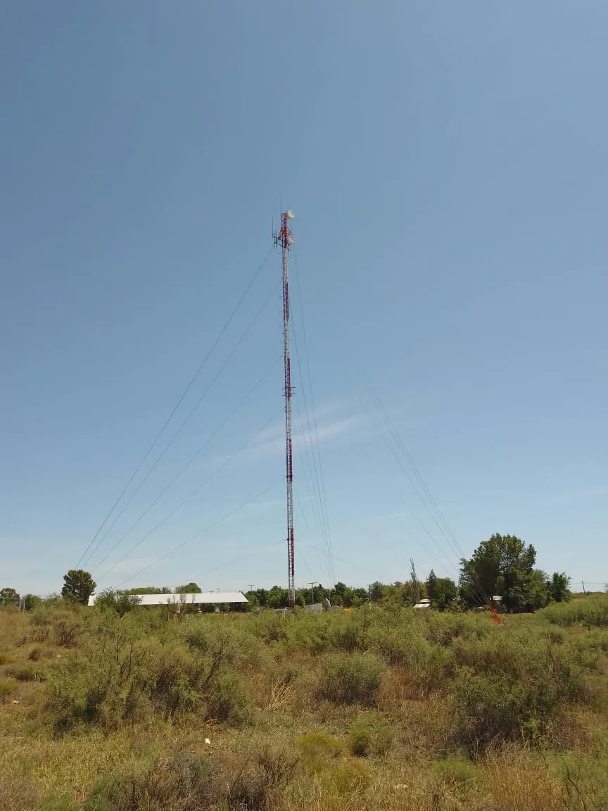 WhatsApp Image 2024-01-03 at 11.58.28 AM