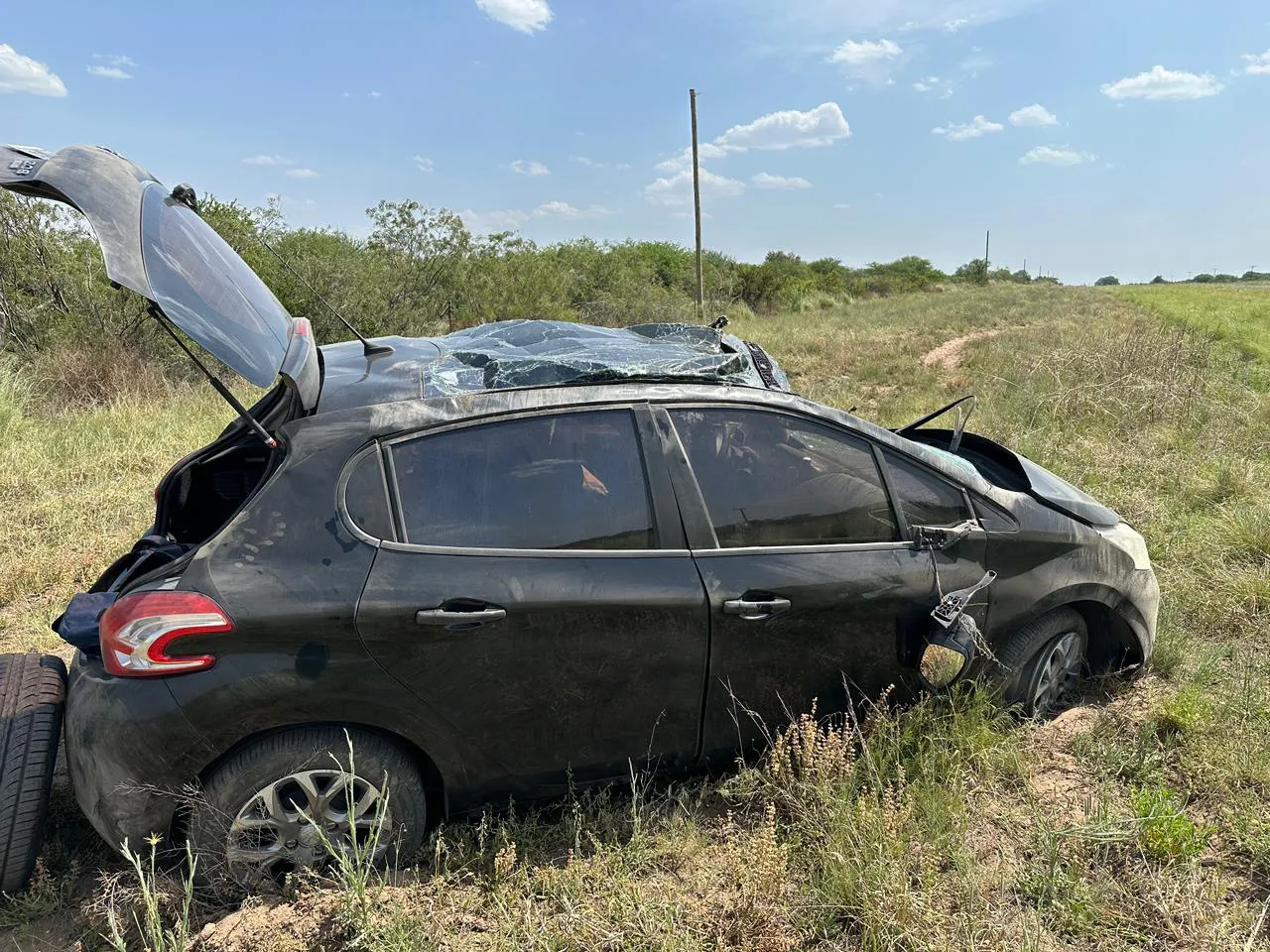 WhatsApp Image 2024-10-31 at 8.24.28 PM