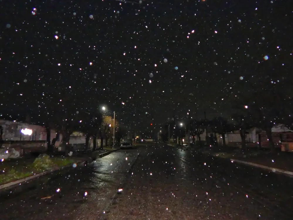 WhatsApp Image 2024-08-21 at 8.32.14 AM