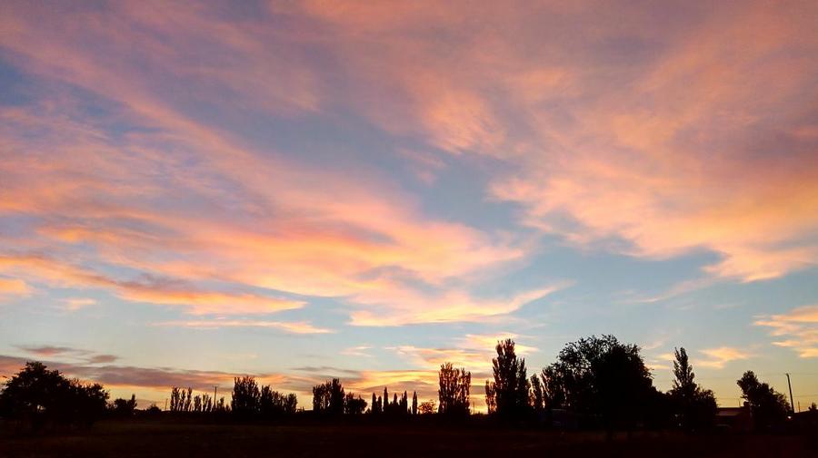 WhatsApp Image 2018-01-08 at 15.01.16