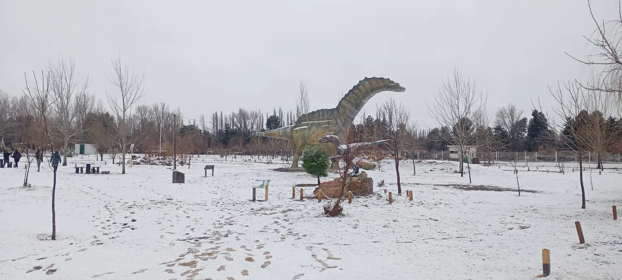 WhatsApp Image 2025-07-26 at 11.06.26 AM