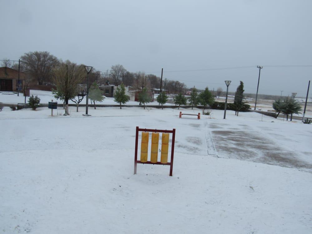 WhatsApp Image 2020-07-23 at 10.18.34