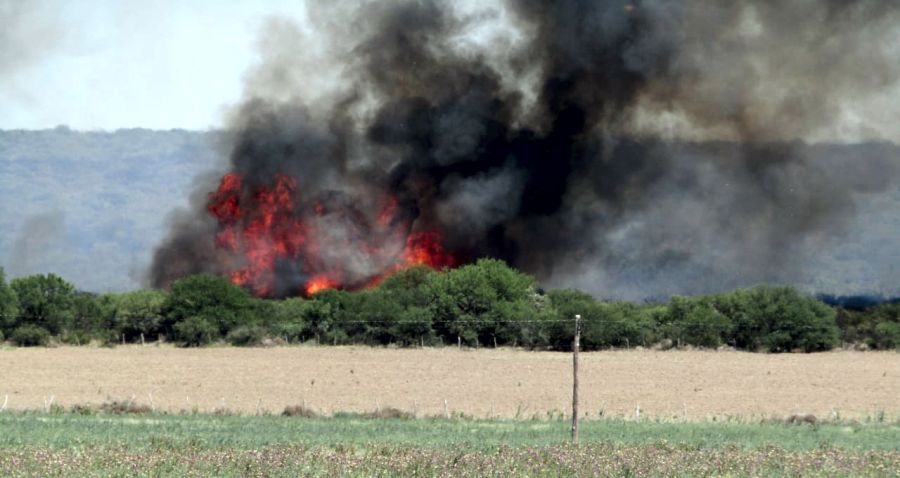 fotosfueggtelldgfdds