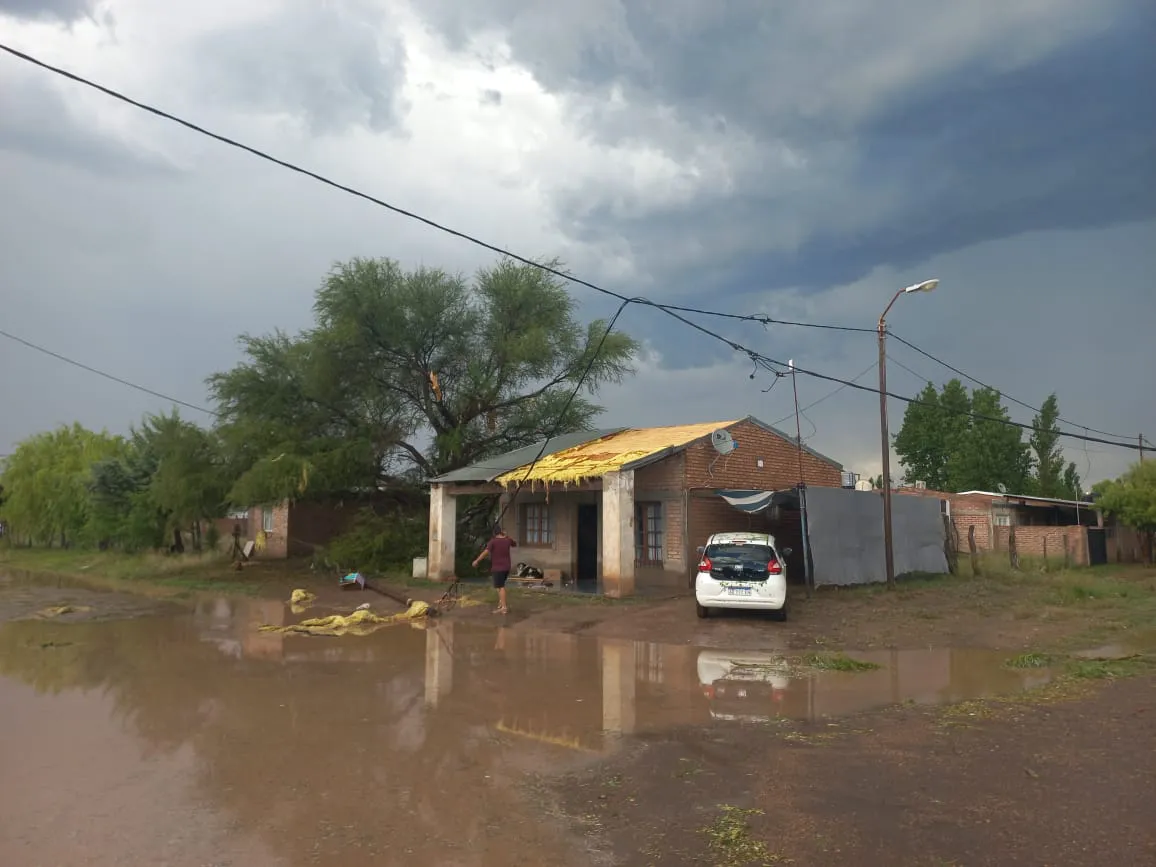 WhatsApp Image 2024-11-09 at 5.09.09 PM