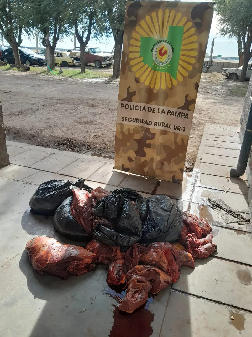 WhatsApp Image 2025-02-22 at 12.17.46 PM