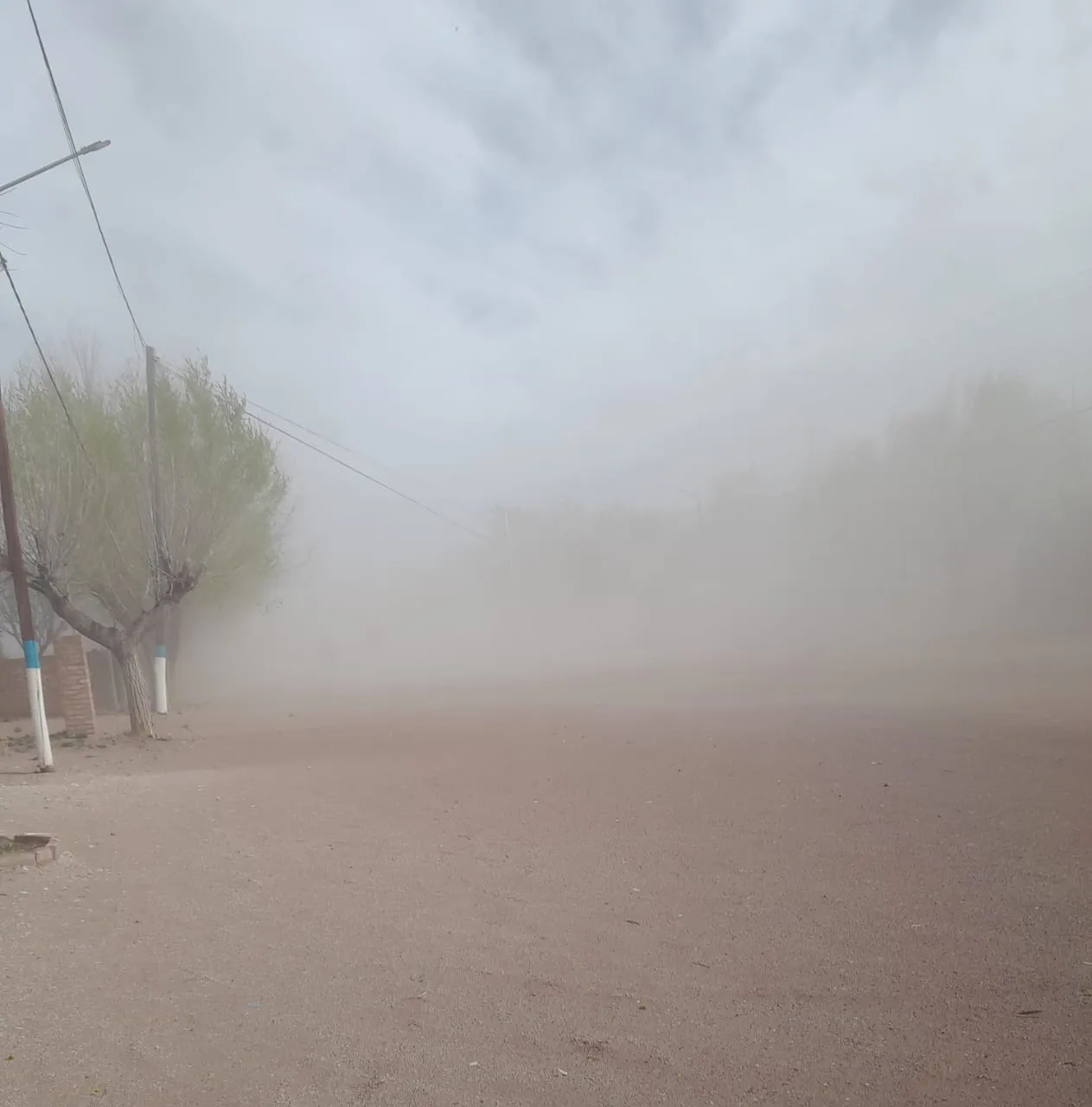 WhatsApp Image 2023-09-15 at 1.40.03 PM (1)